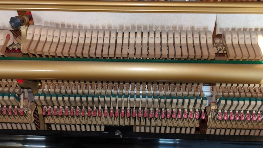 KAWAI NS-15 �J���CNS15 �摜5